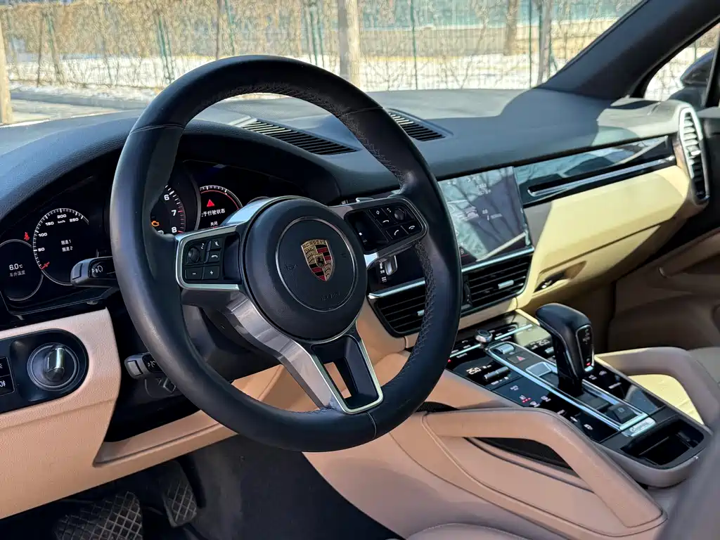 Porsche Cayenne 2020 — фото 15