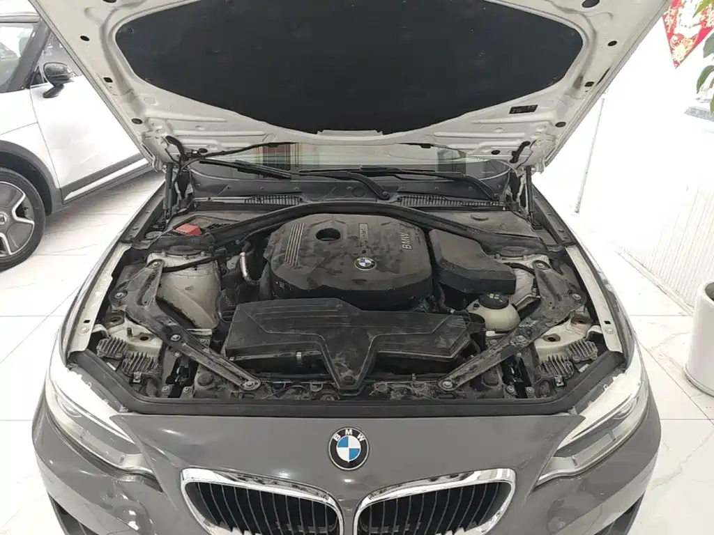BMW 2 Series 2017 — фото 20