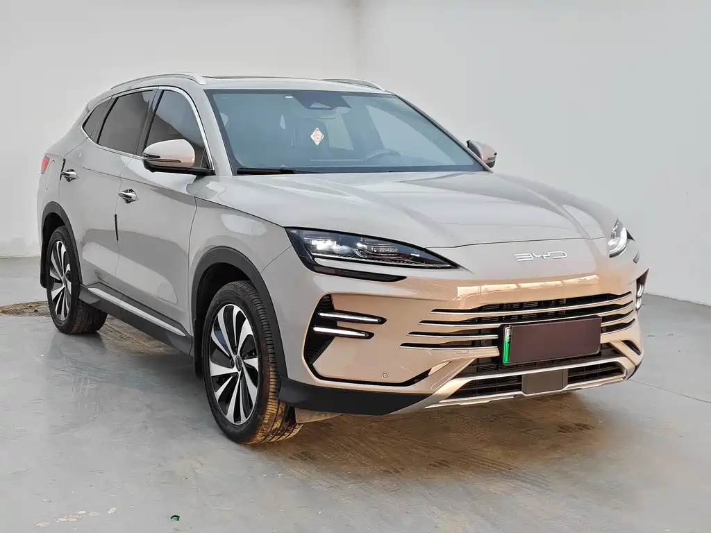 BYD PLUS New Energy 2025 — фото 3