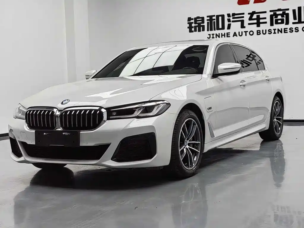 BMW 5 Series New Energy 2023
