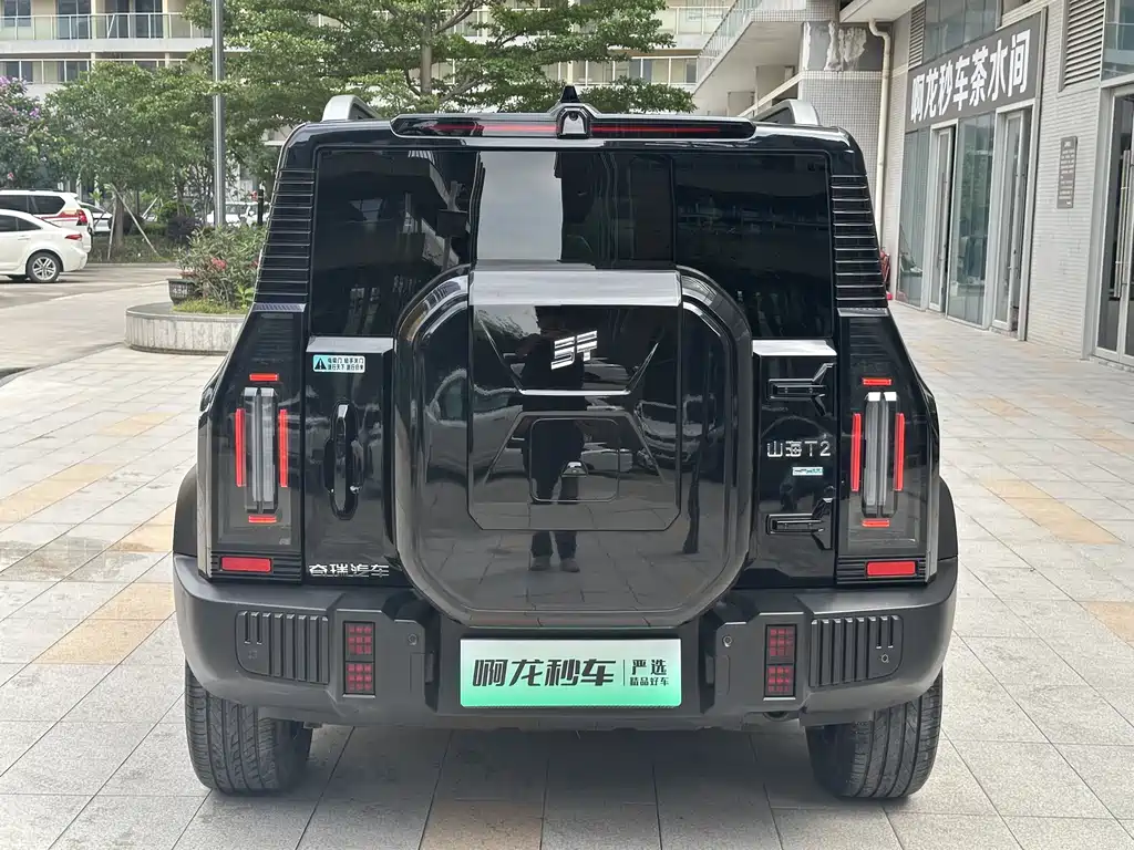 Shanhai Traveller C-DM 2025 — фото 5
