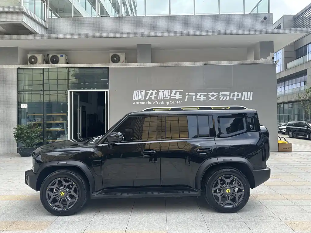 Shanhai Traveller C-DM 2025 — фото 20