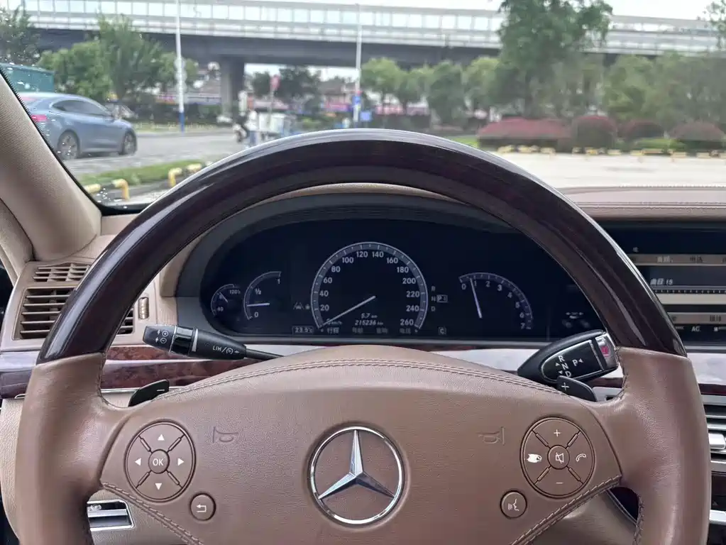 Mercedes-Benz S-Class 2010 — фото 15