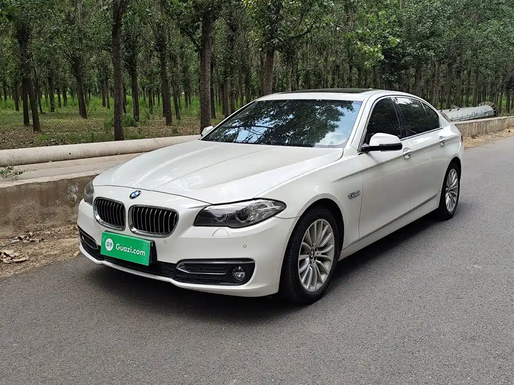 BMW 5 Series 2016 — фото 1