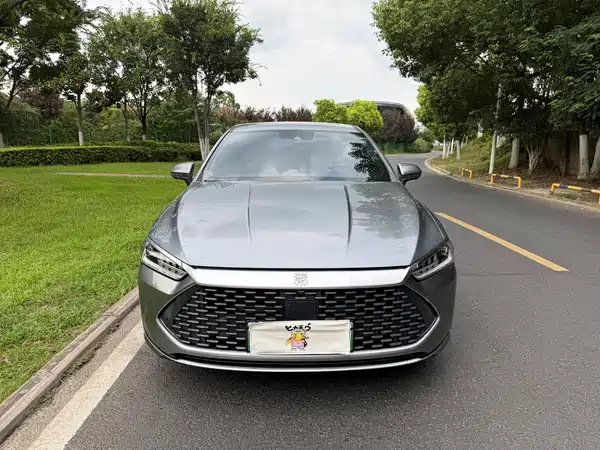 BYD Qin PLUS 2023