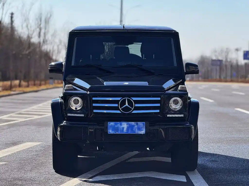 Mercedes-Benz G-Class 2017 — фото 1
