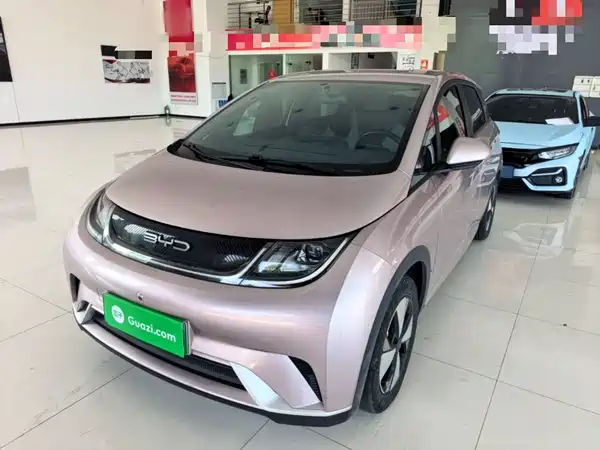 BYD Dolphin 2024