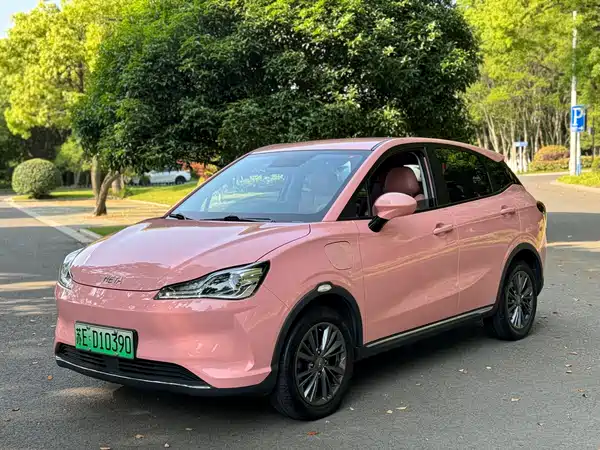 Neta V 2022