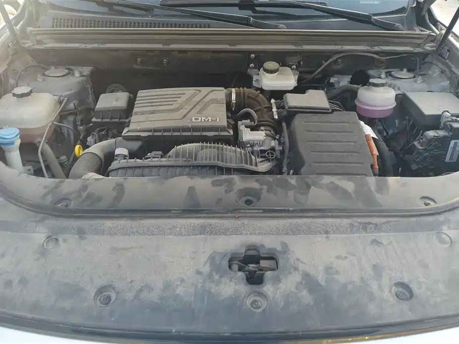 BYD Pro New Energy 2023 — фото 10