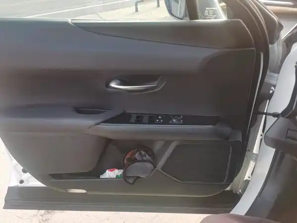 Lexus UX 2020