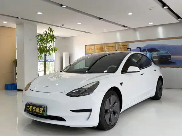 Tesla Model 3 2021