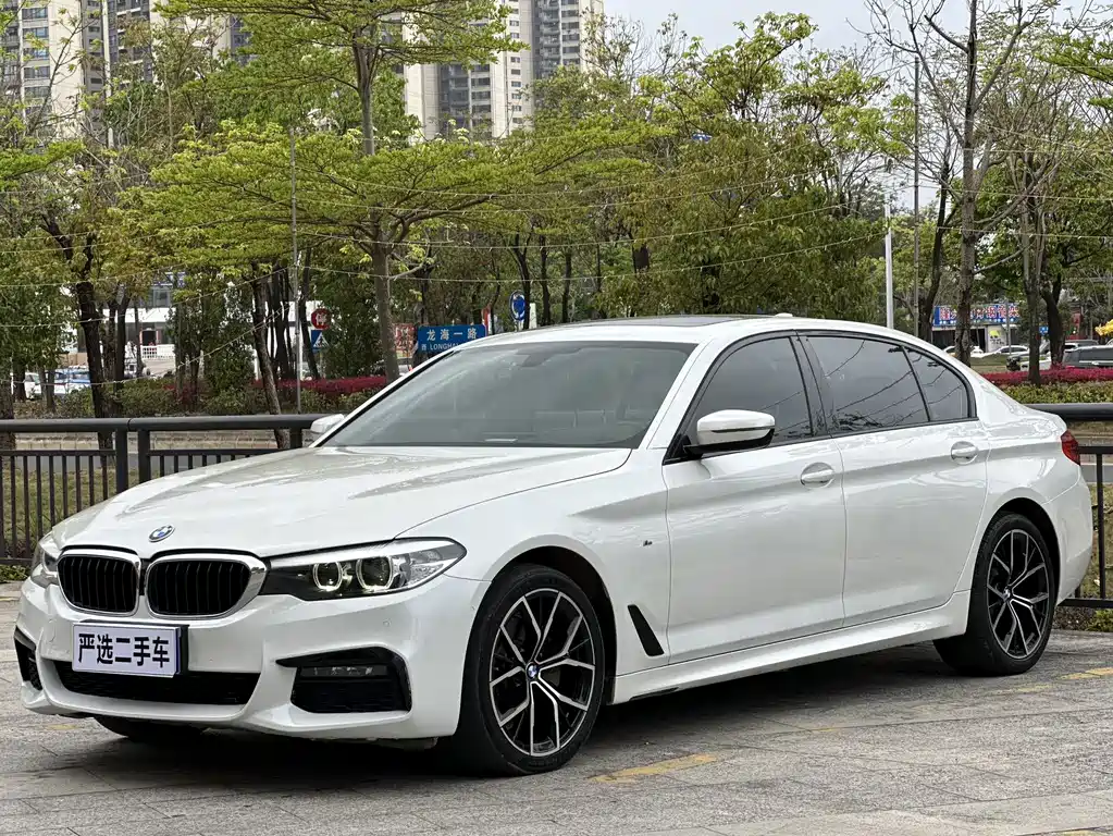 BMW 5 Series 2019 — фото 1
