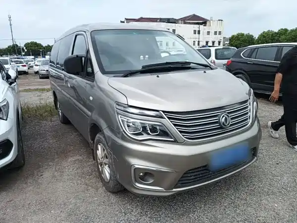 Dongfeng Lingzhi 2019