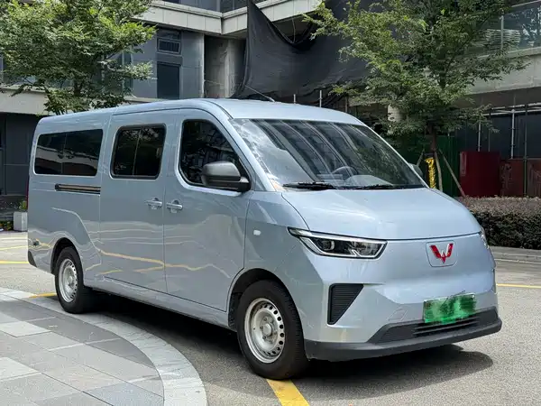 Wuling Yangguang 2025