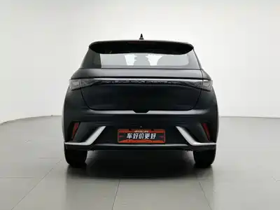 BYD Dolphin 2022