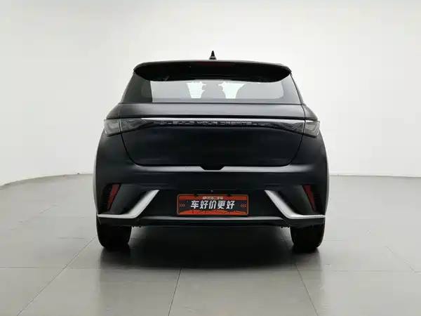 BYD Dolphin 2022
