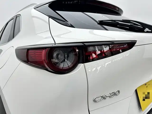 Mazda CX-30 2021 — фото 19