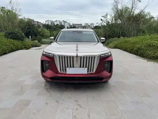 Hongqi E-HS9 2021
