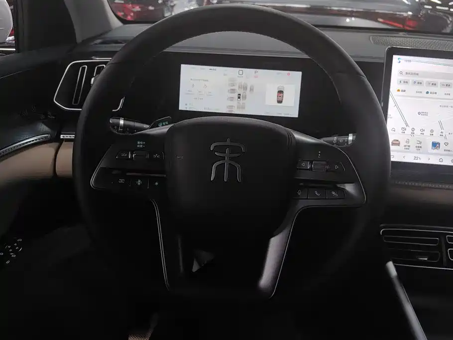 BYD Pro New Energy 2025 — фото 15