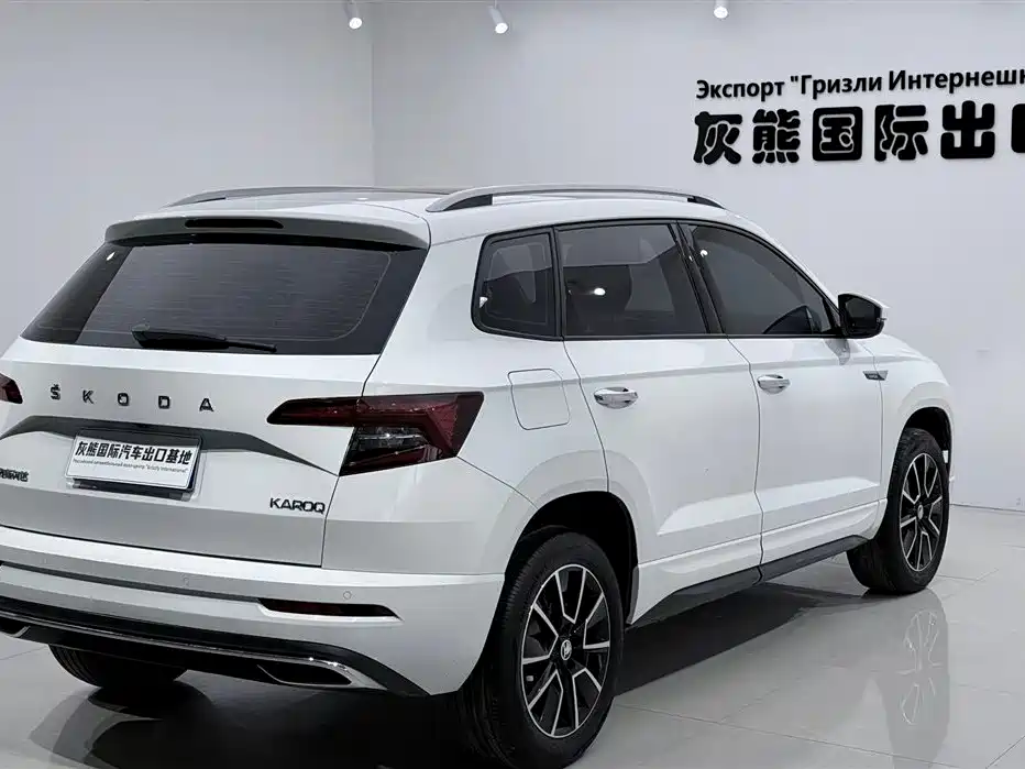 Skoda Karoq 2023 — фото 4