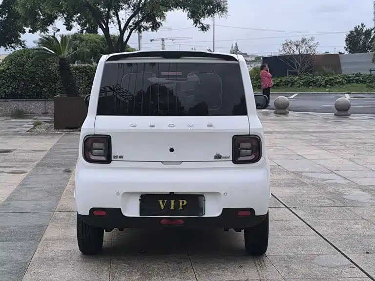 Geely Galaxy Panda 2025 — фото 23