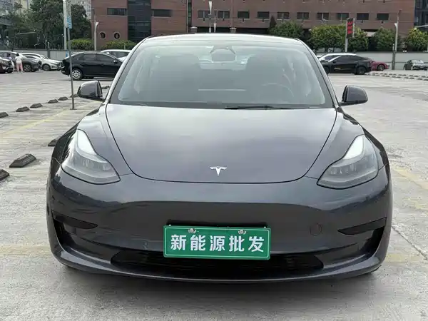 Tesla Model 3 2020