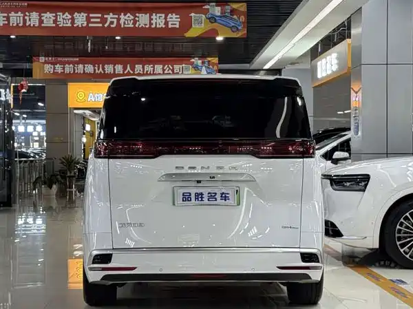 Denza D9 2024