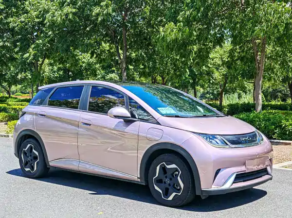 BYD Dolphin 2022