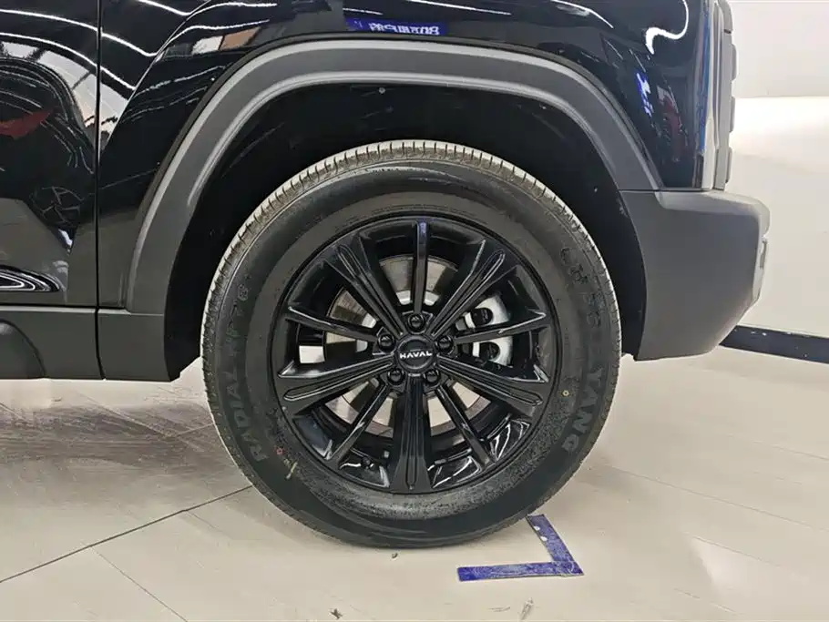 Haval Menglong New Energy 2025 — фото 6