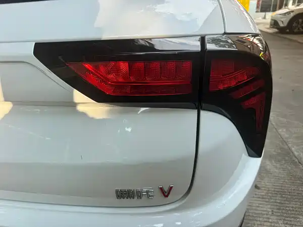 Neta V 2021