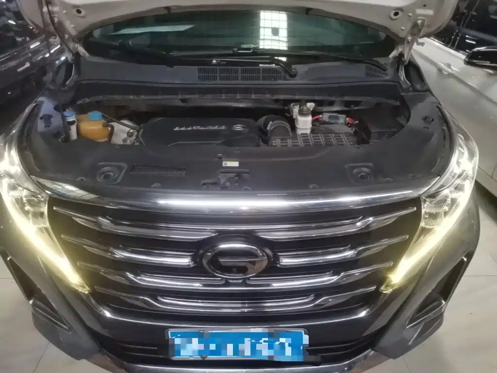 GAC Trumpchi M8 2019 — фото 20