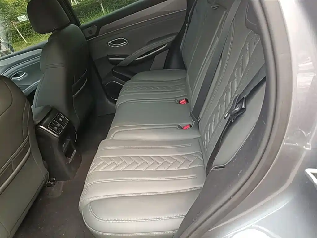 BYD L DM-i 2025 — фото 17