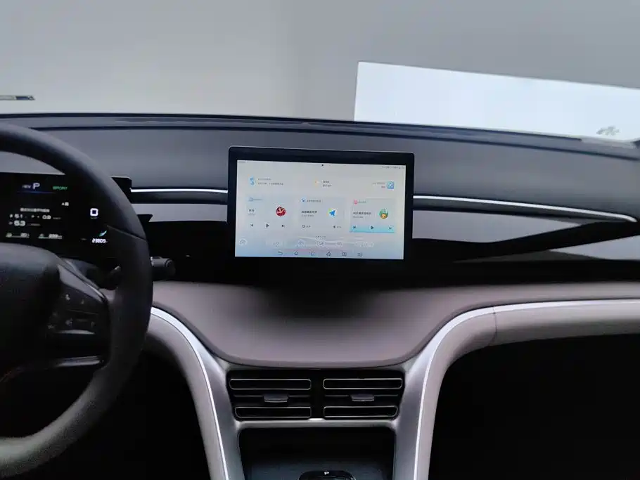 BYD Song Pro New Energy 2024 — фото 13