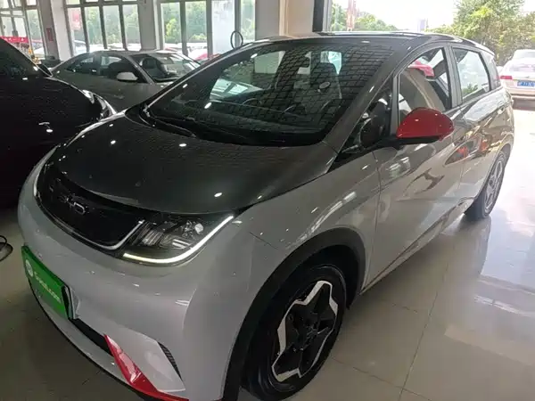 BYD Dolphin 2022