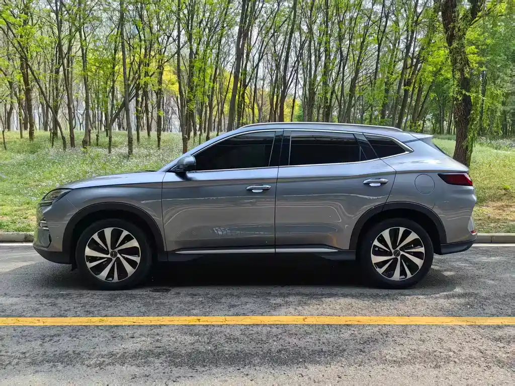 BYD PLUS New Energy 2024 — фото 3