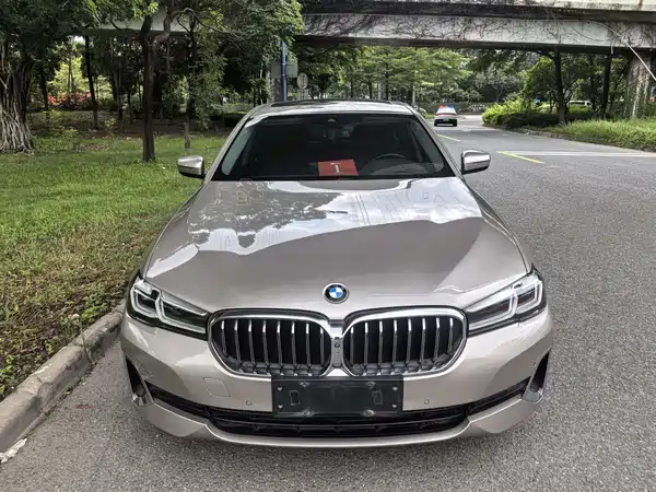 BMW 5 Series 2021