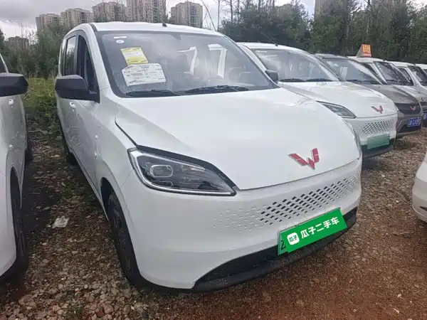 Wuling Hongguang New Energy 2026