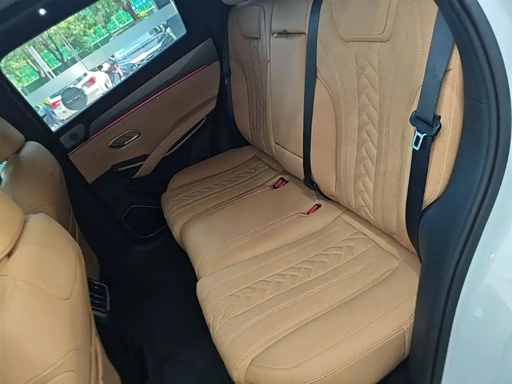 BYD L DM-i 2024 — фото 17