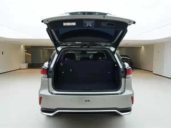 Lexus RX 2020
