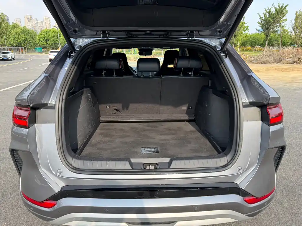 BYD PLUS New Energy 2024 — фото 10