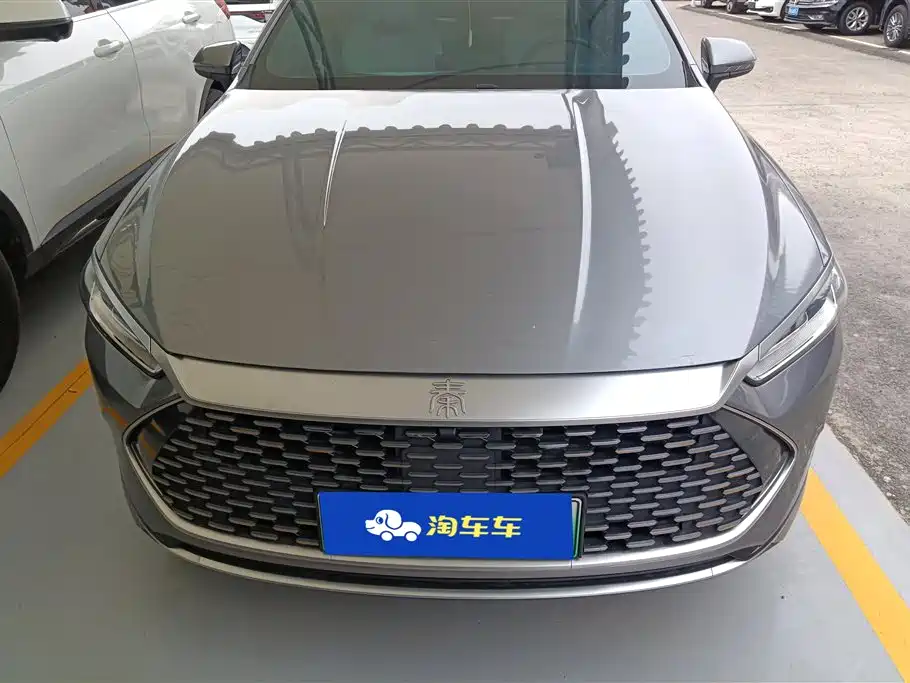 BYD Qin PLUS 2024 — фото 2