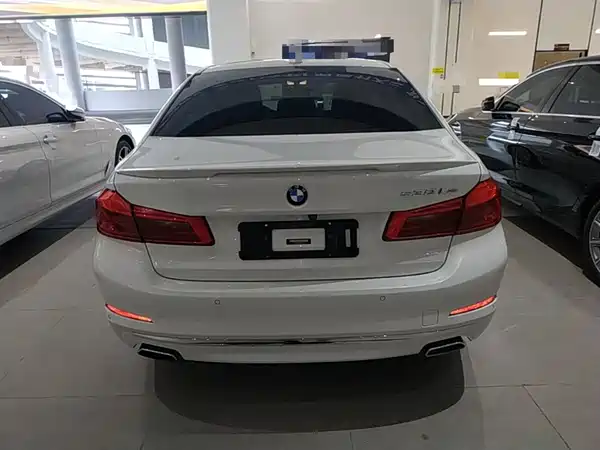 BMW 5 Series New Energy 2019