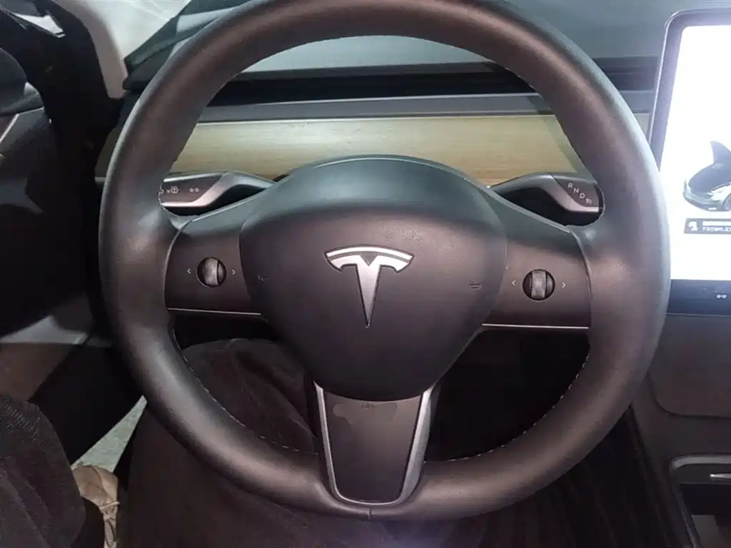 Tesla Model 3 2021 — фото 11