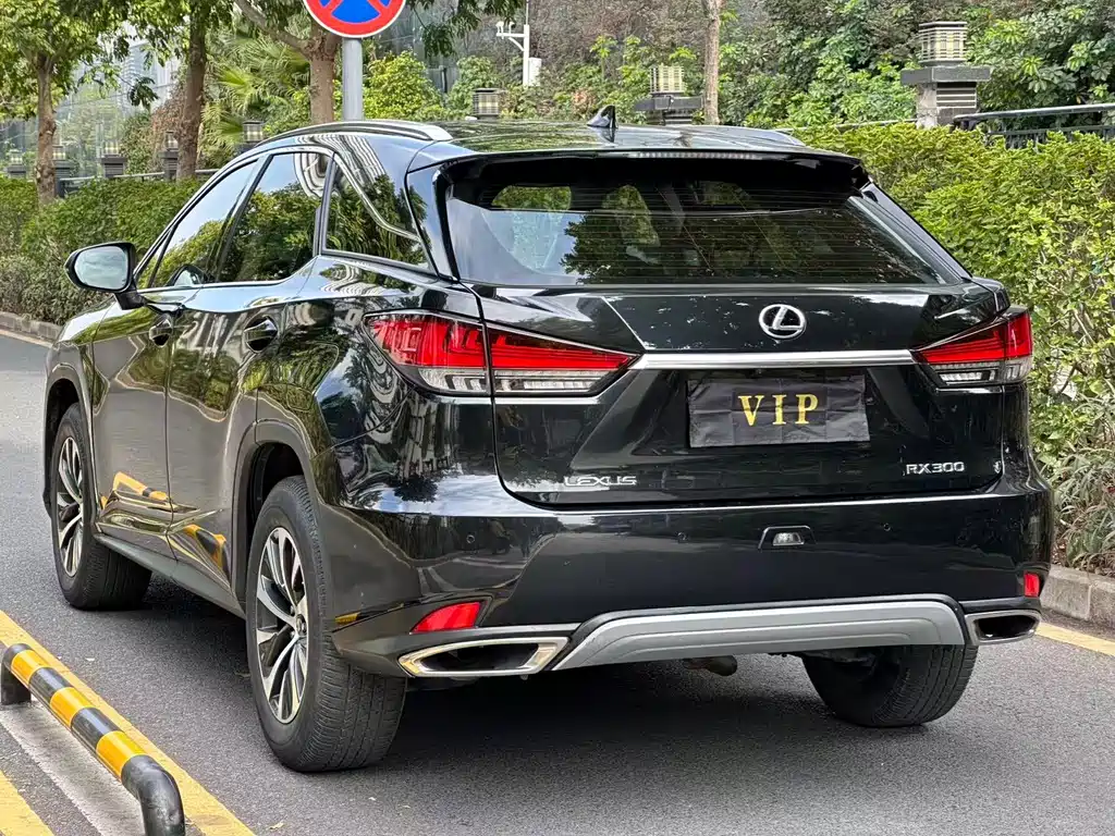 Lexus RX 2022 — фото 9