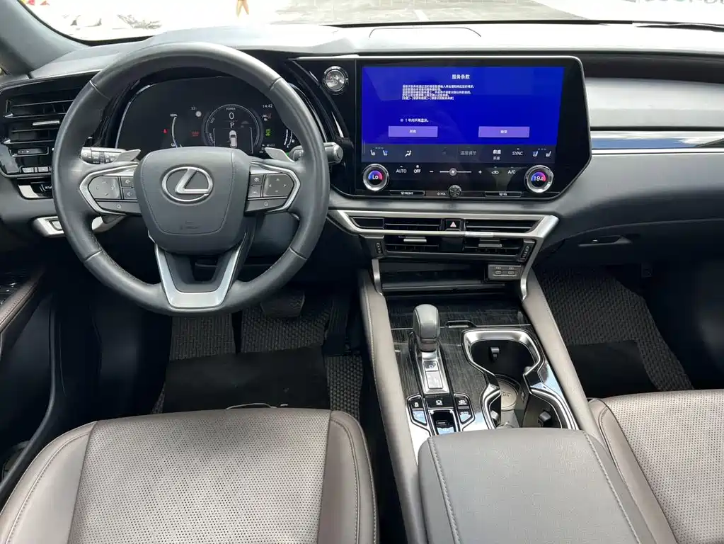 Lexus RX New Energy 2023 — фото 8