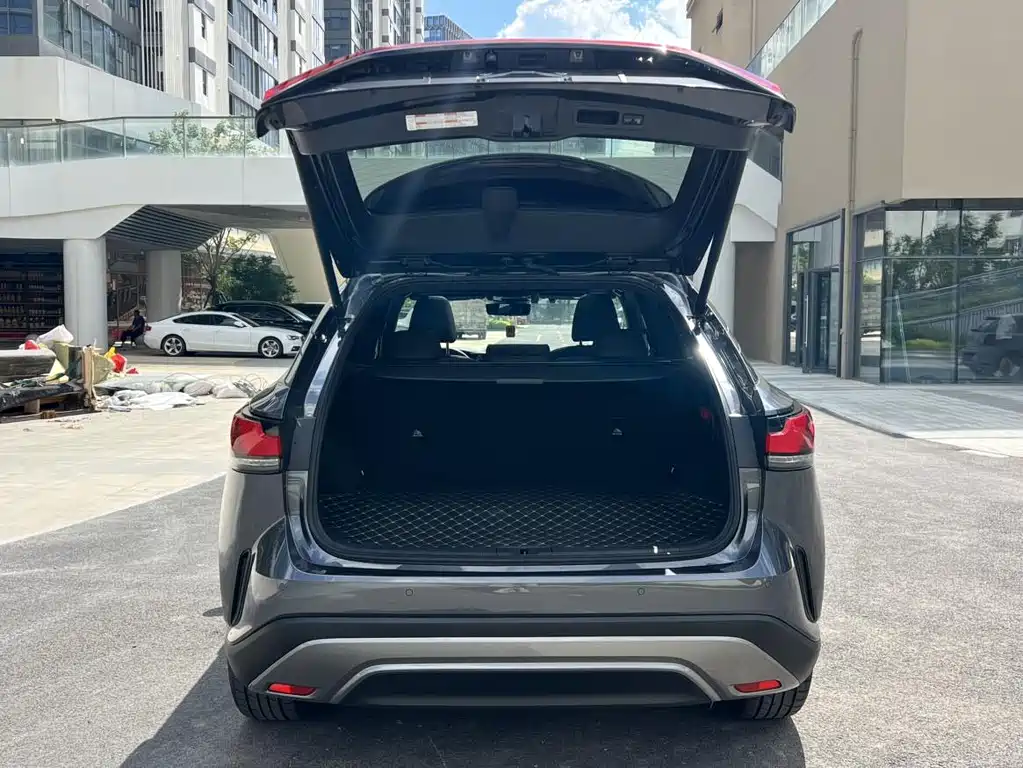 Lexus RX New Energy 2023 — фото 17