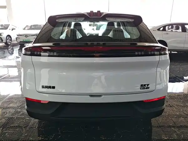 Dongfeng Aeolus SKY 2025
