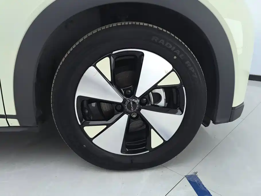 BYD Dolphin 2024