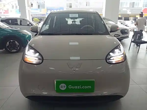 Wuling Bingo 2024