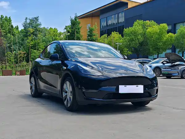 Tesla Model Y 2021